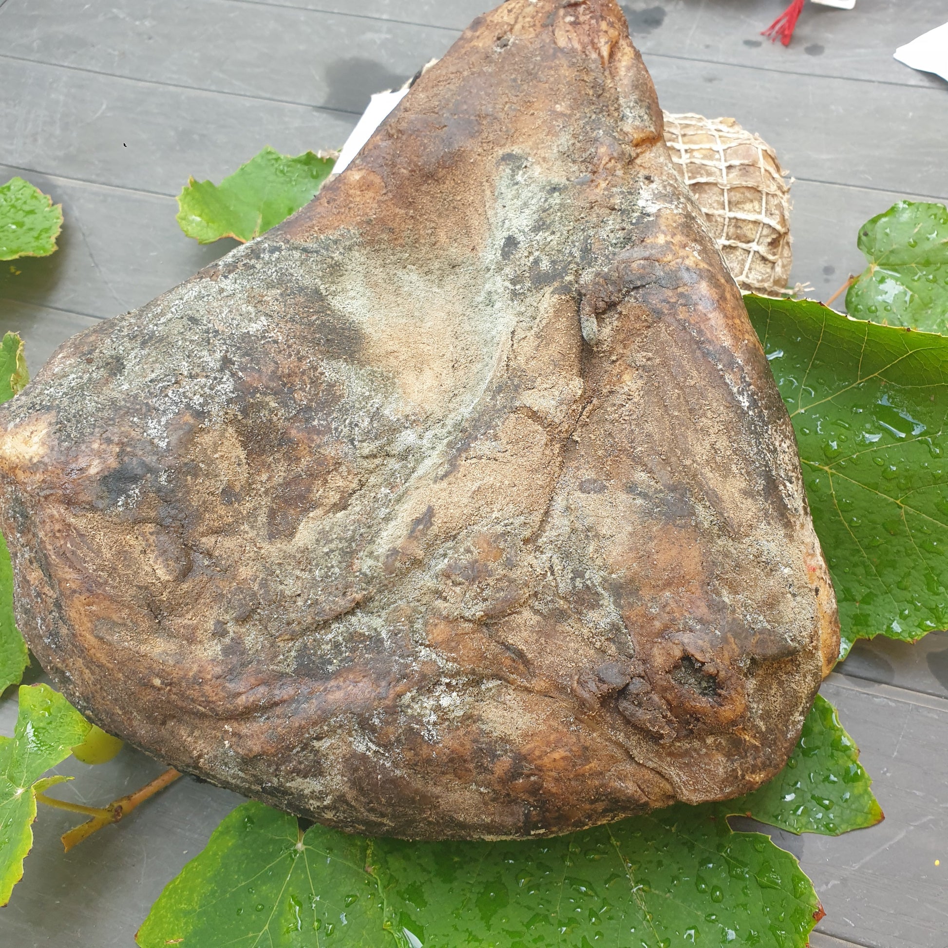 La Bulagna joue de cochon fumée corse, viande affinée rustique et savoureuse.