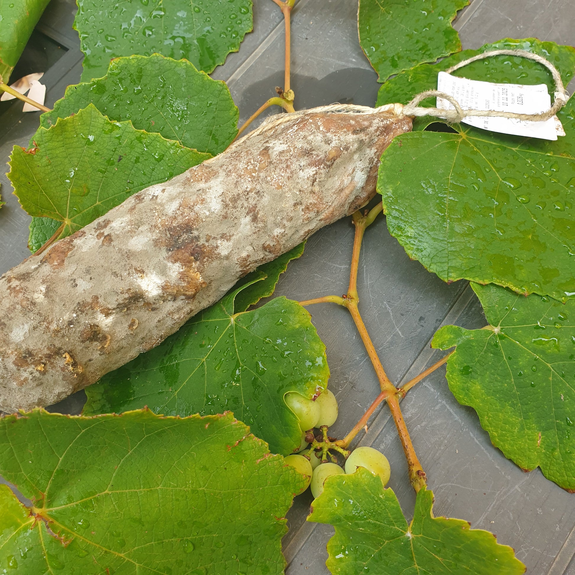 Saucisson fumé de porc IGP sur feuilles de vigne avec étiquette de prix