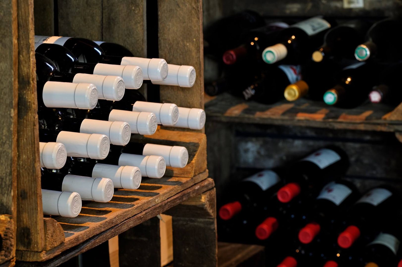 Cave_a_vin-Domaine_Peretti_della_Rocca