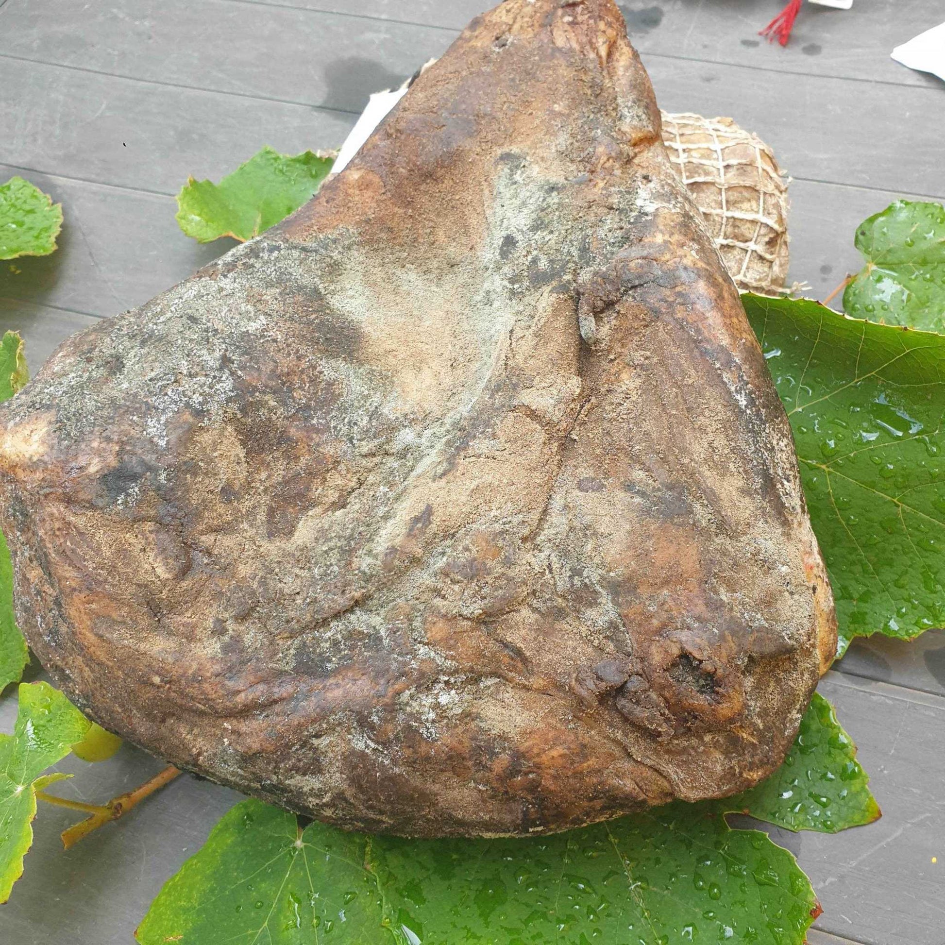 La Bulagna - Le Goût de la Corse