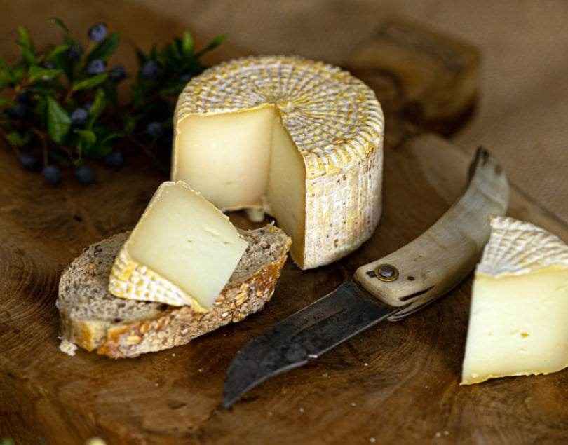 Tomme de brebis Corse