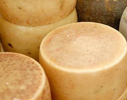 Tomme de brebis Corse - Le Goût de la Corse